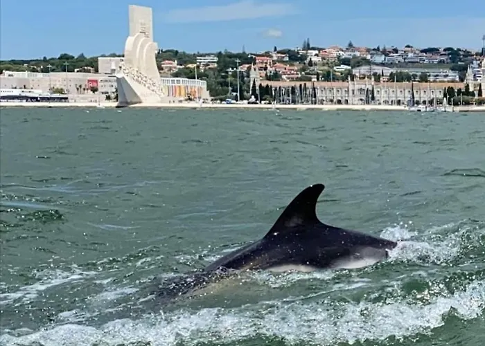 Tejo House River Lisbon Lejlighed Almada